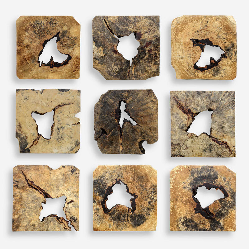Uttermost Bahati Wood Wall Decor In Natural Set/9