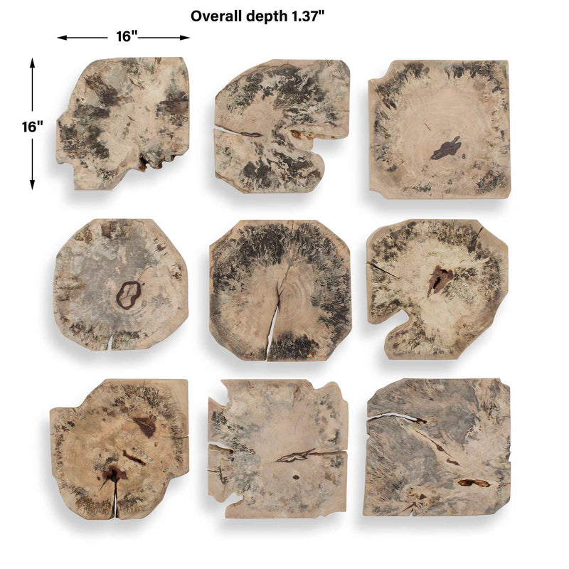 Uttermost Bahati Wood Bleached Wall Decor Set/9