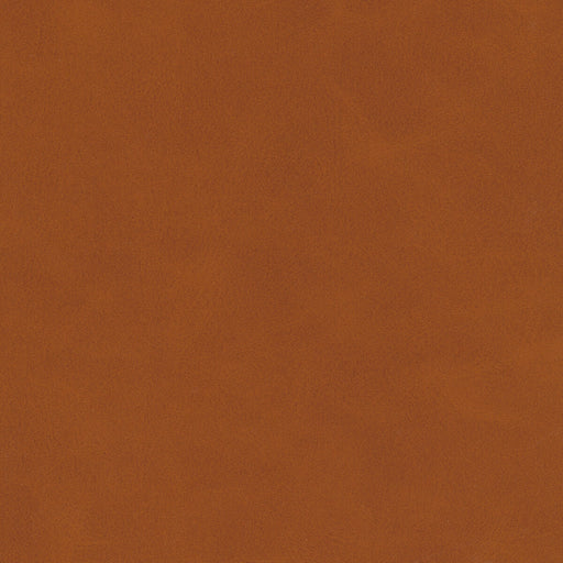 KRAVET DESIGN - MOJARI - Fabric By the Yard