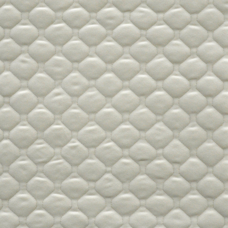 Maxwell - APIARY - MILK - Fabric by the Yard
