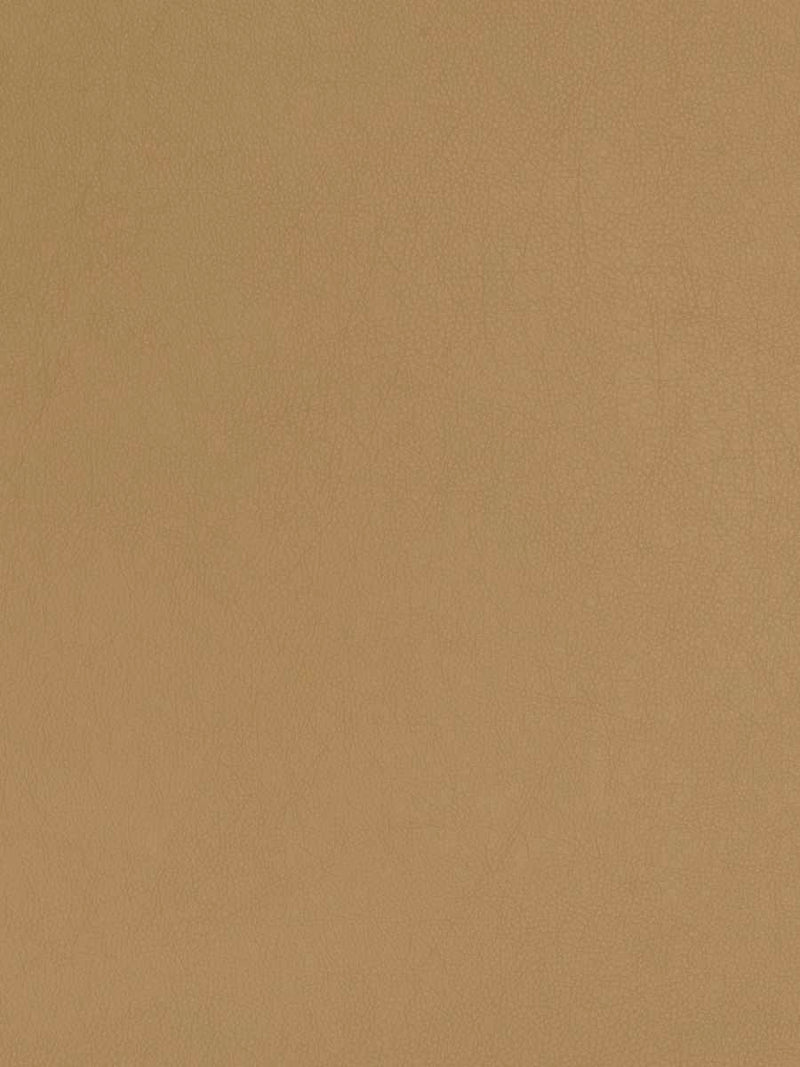 FTS-00424 - Fabric By The Yard - Samples Available by Request - Fabrics and Drapes