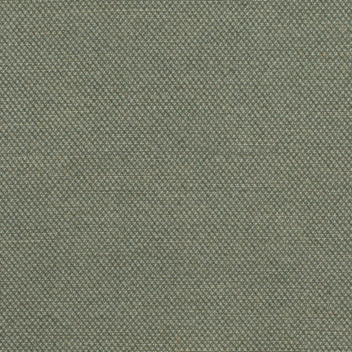 Morgan - Cypress - 29 Park - Fabric by the Yard