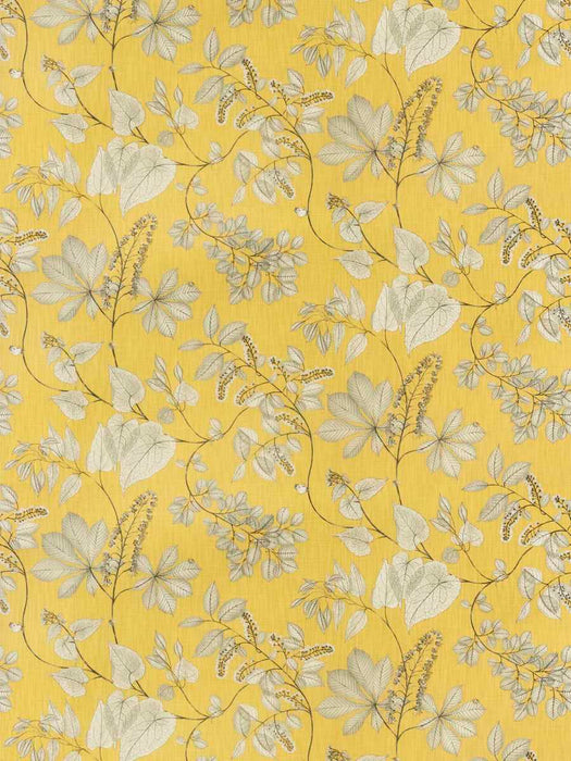 FTS-00667 - Fabric By The Yard - Samples Available by Request - Fabrics and Drapes