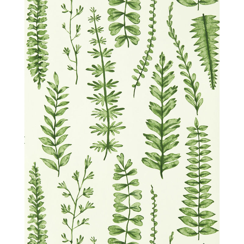 SCION - FERNS- JUNIPER - Wallcovering by the Roll JUNIPER