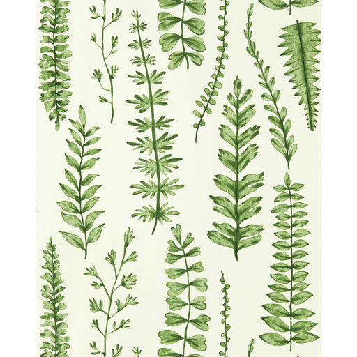 SCION - FERNS- JUNIPER - Wallcovering by the Roll JUNIPER