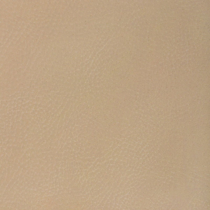 KRAVET DESIGN - KRAVET DESIGN - NASH-16 - Fabric By The YARD