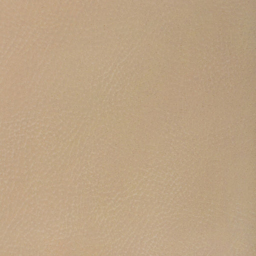 KRAVET DESIGN - KRAVET DESIGN - NASH-16 - Fabric By The YARD