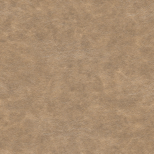 KRAVET DESIGN - NEBULA - Fabric By the Yard