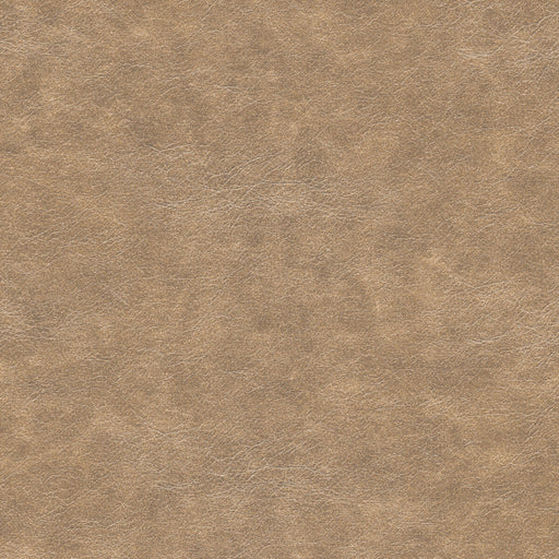 KRAVET DESIGN - KRAVET DESIGN- NEBULA-611 - Fabric by the Yard NEBULA-611