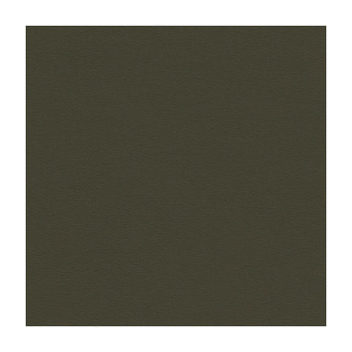 KRAVET SMART - KRAVET SMART- NEWT-21 - Fabric by the Yard NEWT-21