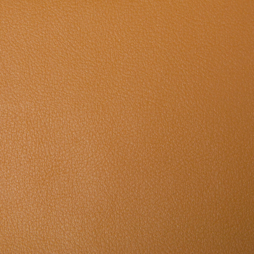 KRAVET SMART - KRAVET SMART- NEWT-4 - Fabric by the Yard NEWT-4