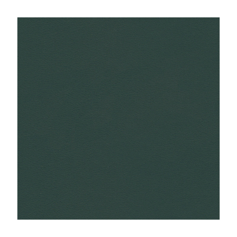 KRAVET SMART - KRAVET SMART- NEWT-5 - Fabric by the Yard NEWT-5