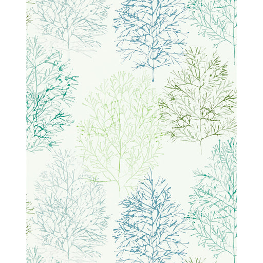 SCION - SOETSU WP- KIWI/SLATE - Wallcovering by the Roll KIWI/SLATE