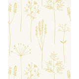 SCION - STIPA- HONEY - Wallcovering by the Roll