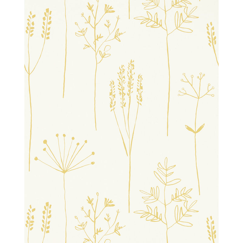 SCION - STIPA- HONEY - Wallcovering by the Roll HONEY