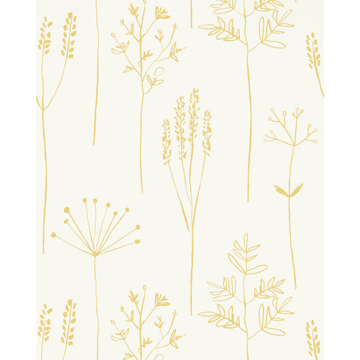 SCION - STIPA- HONEY - Wallcovering by the Roll HONEY