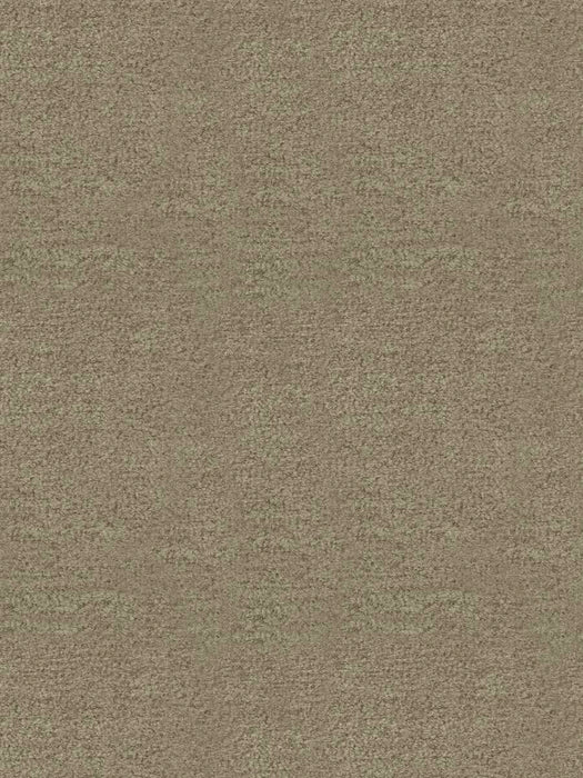 FTS-01818 - Fabric By The Yard - Samples Available by Request - Fabrics and Drapes