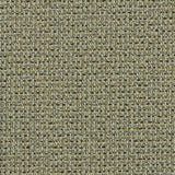 OD-NEV - BUCKEYE - Mag Fabrics - Fabric By The Yard
