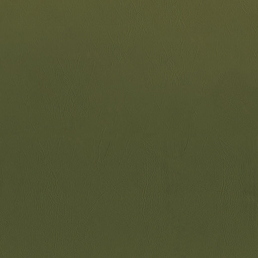 ODESSA FOREST