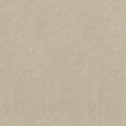 ODESSA OATMEAL