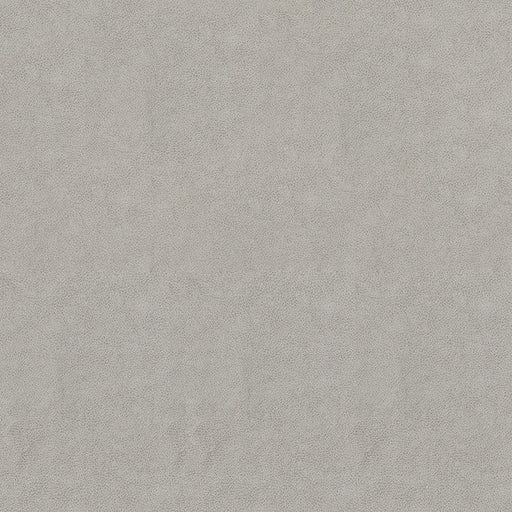 ODESSA PEWTER