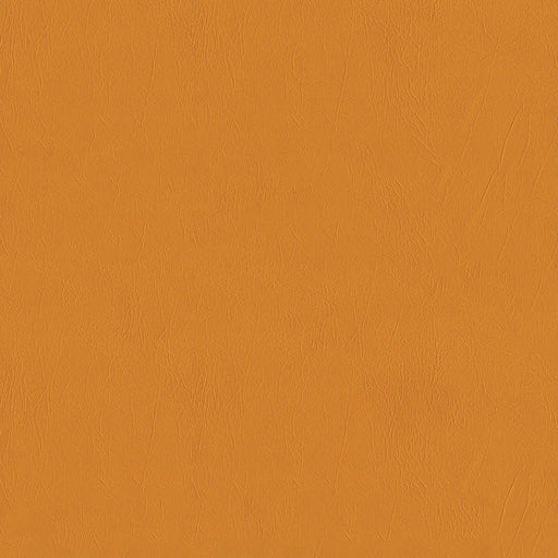 ODESSA TANGERINE