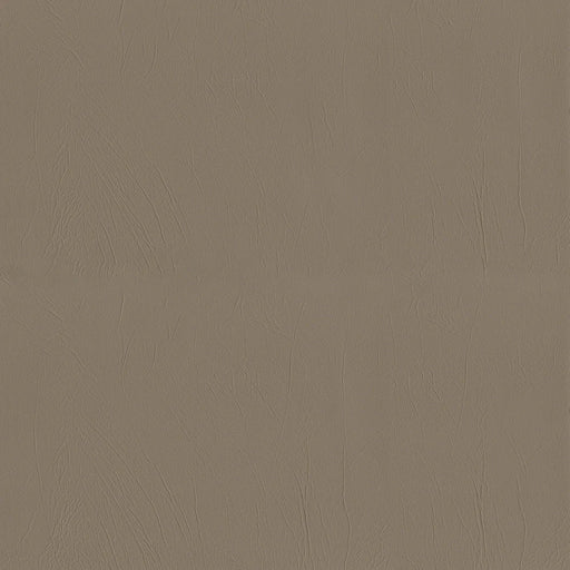 ODESSA TAUPE