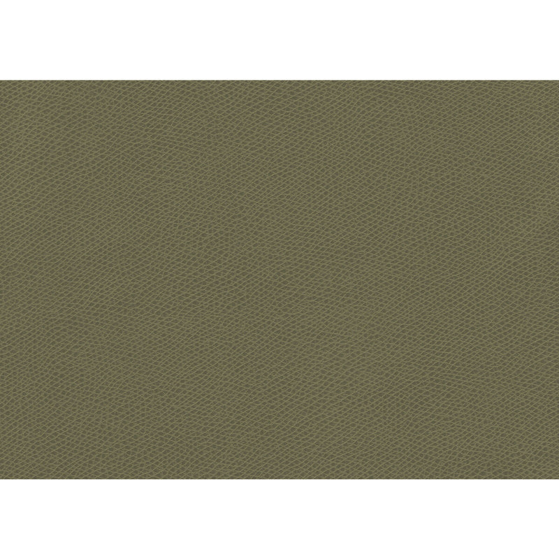 KRAVET CONTRACT - OPHIDIAN- SAGE - Fabric by the Yard SAGE