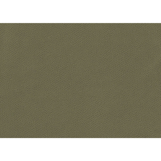 KRAVET CONTRACT - OPHIDIAN- SAGE - Fabric by the Yard SAGE