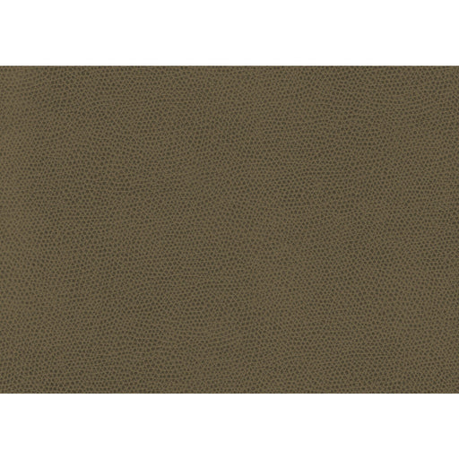 KRAVET CONTRACT - OPHIDIAN- BARK - Fabric by the Yard BARK