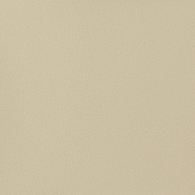 KRAVET BASICS - KRAVET BASICS- OTTO-1116 - Fabric by the Yard OTTO-1116