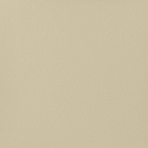 KRAVET BASICS - KRAVET BASICS- OTTO-1116 - Fabric by the Yard OTTO-1116