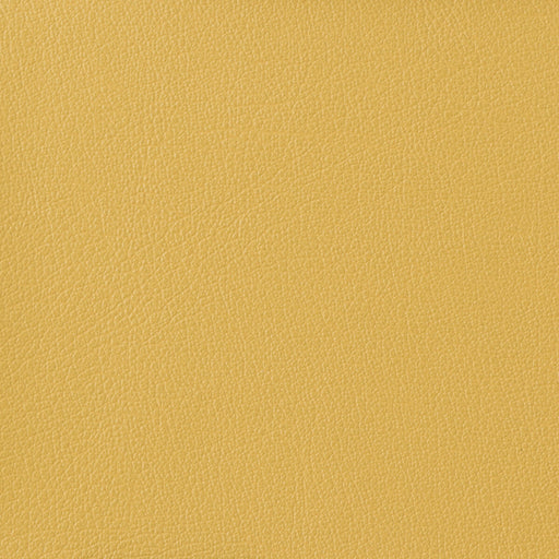 KRAVET BASICS - KRAVET BASICS- OTTO-40 - Fabric by the Yard OTTO-40