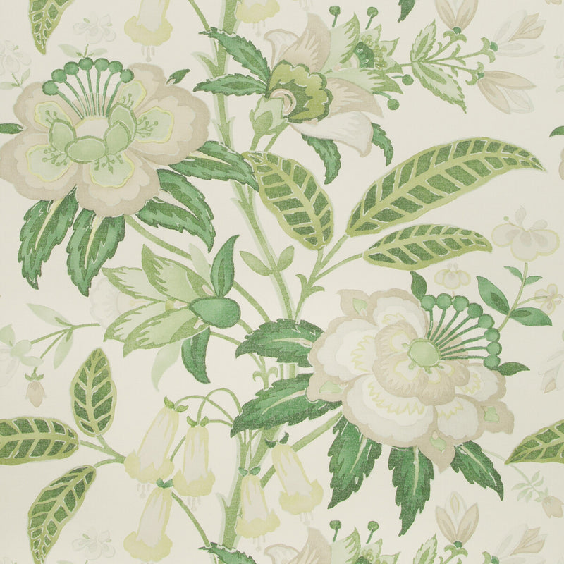 LEE JOFA - DAVENPORT PAPER- GREENERY - Wallcovering by the Roll GREENERY