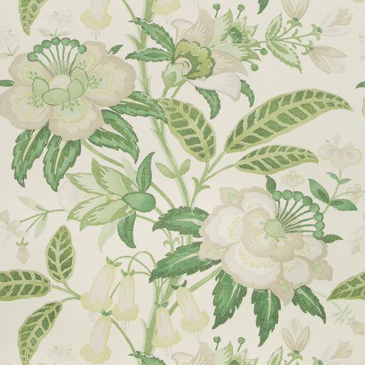 LEE JOFA - DAVENPORT PAPER- GREENERY - Wallcovering by the Roll GREENERY