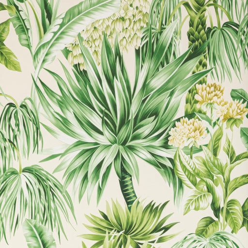 LEE JOFA - CALUYA PAPER- PALM - Wallcovering by the Roll PALM