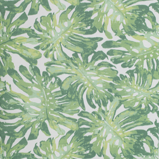 LEE JOFA - CALAPAN PAPER- GREEN - Wallcovering by the Roll GREEN