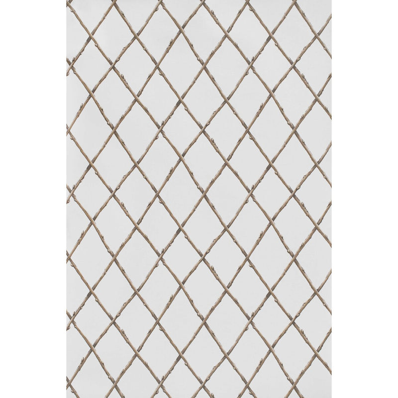 LEE JOFA - BARE TWIG TRELLIS WP- BROWN - Wallcovering by the Roll BROWN