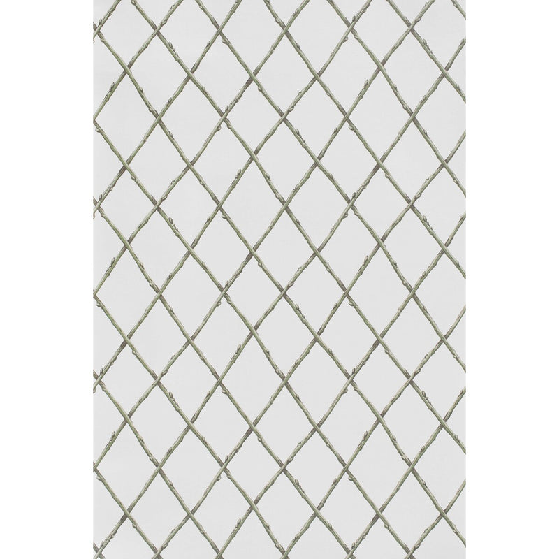 LEE JOFA - BARE TWIG TRELLIS WP- GREEN - Wallcovering by the Roll GREEN