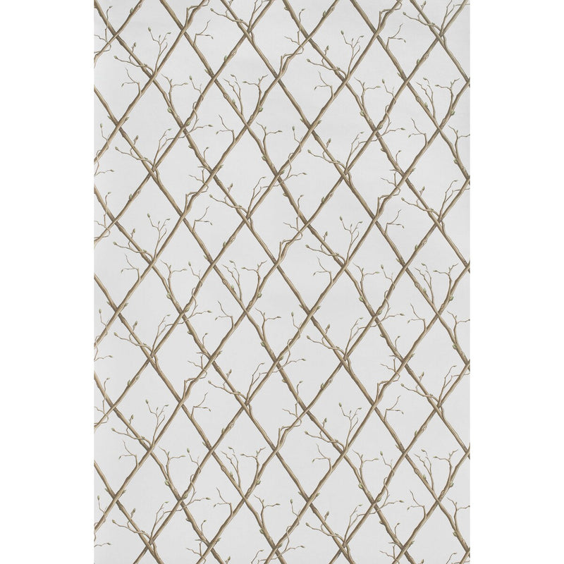 LEE JOFA - TWIG TRELLIS WP- BROWN - Wallcovering by the Roll BROWN