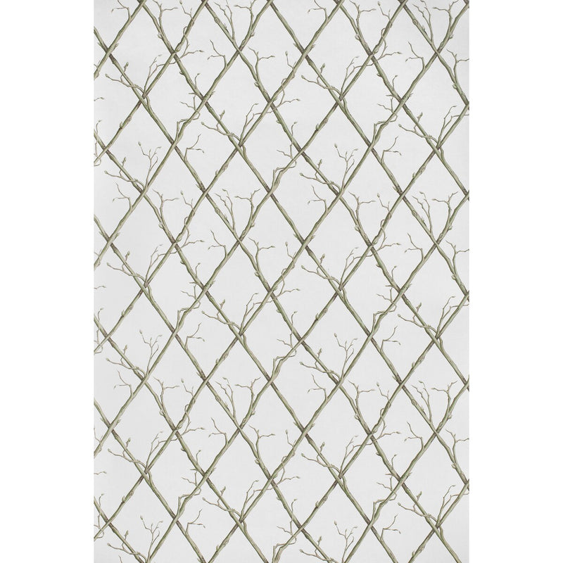 LEE JOFA - TWIG TRELLIS WP- GREEN - Wallcovering by the Roll GREEN