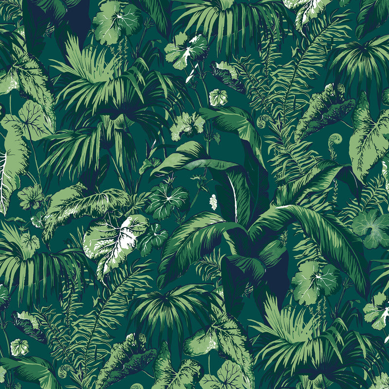 BRUNSCHWIG & FILS - FEUILLAGE- GREEN - Wallcovering by the Yard GREEN