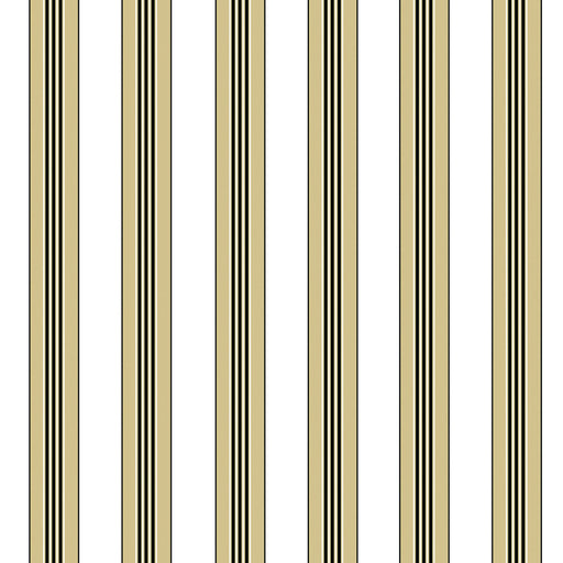 BRUNSCHWIG & FILS - RAYURE LIONE- BEIGE - Wallcovering by the Yard BEIGE