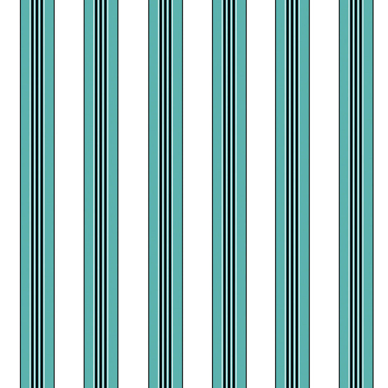 BRUNSCHWIG & FILS - RAYURE LIONE- AQUA - Wallcovering by the Yard AQUA