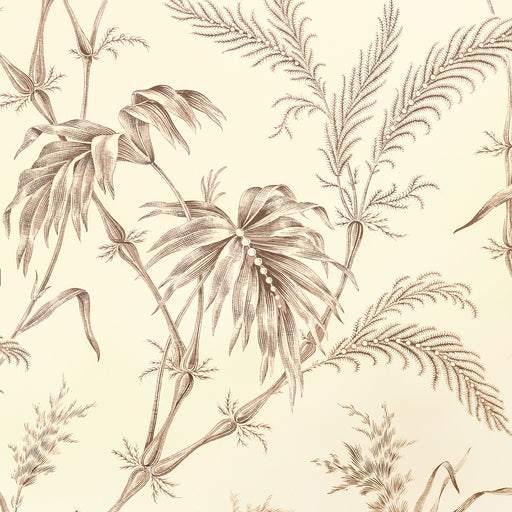 BRUNSCHWIG & FILS - LAUZIERE- TAUPE - Wallcovering by the Roll TAUPE