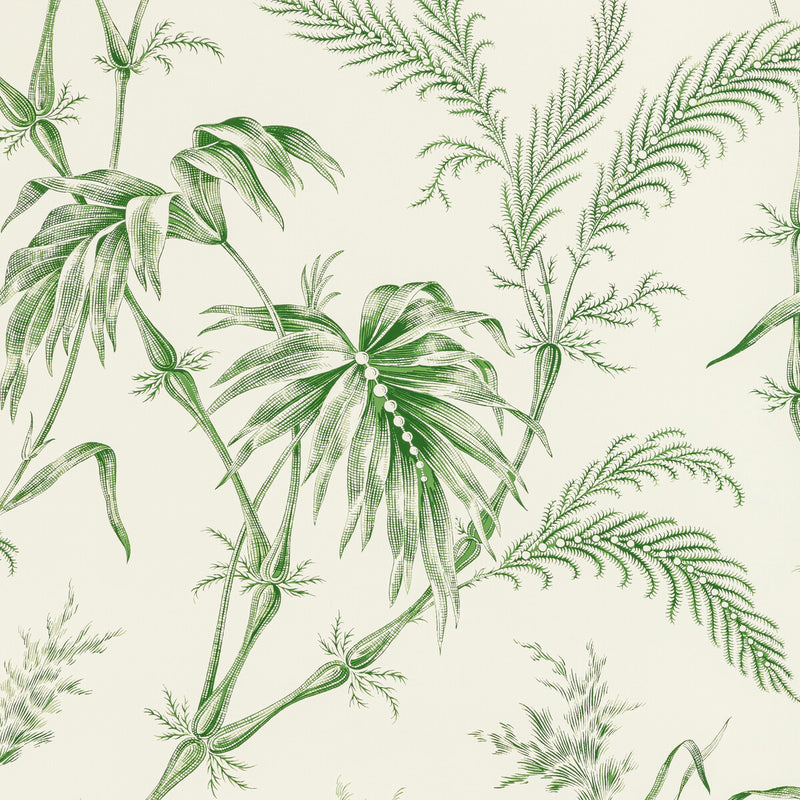 BRUNSCHWIG & FILS - LAUZIERE- GREEN - Wallcovering by the Roll GREEN
