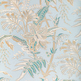 BRUNSCHWIG & FILS - SEYCHELLES- DOVE - Wallcovering by the Roll