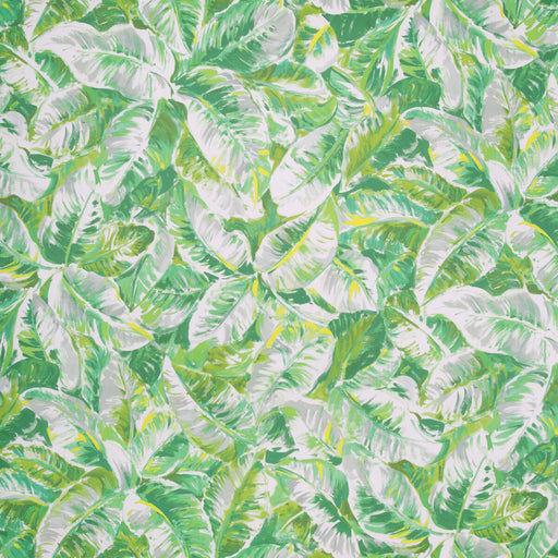 BRUNSCHWIG & FILS - DIANI- LEAF - Wallcovering by the Roll LEAF