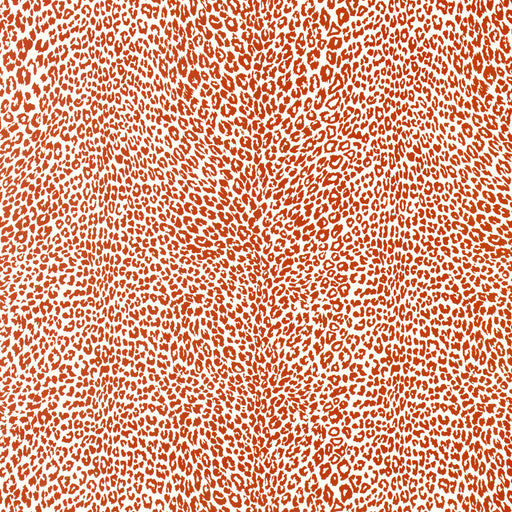 BRUNSCHWIG & FILS - PETIT LEOPARD- ORANGE - Wallcovering by the Yard ORANGE