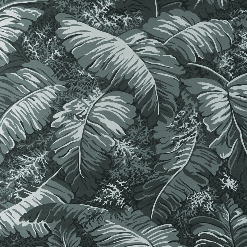 BRUNSCHWIG & FILS - FEUILLES DE BANANIER- GRIS - Wallcovering by the Yard GRIS